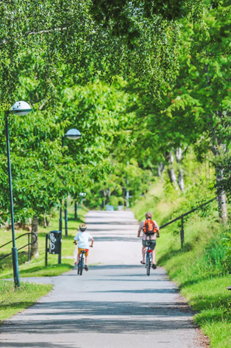 Cycling to school through a park